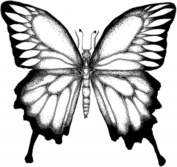 https://www.devonlabossiere.com/files/gimgs/th-1_butterflyink-Recovered.jpg